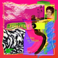 schisme.s vol. 16 - Les Amis au Pakistan