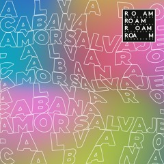 PREMIERE – Alvaro Cabana Feat. Snem K – Amor Salvaje (Paulor Remix) (Roam Recordings)