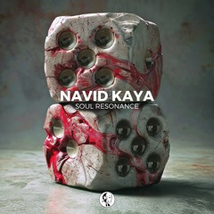 Navid Kaya - Soul Resonance (Original Mix) | Steyoyoke