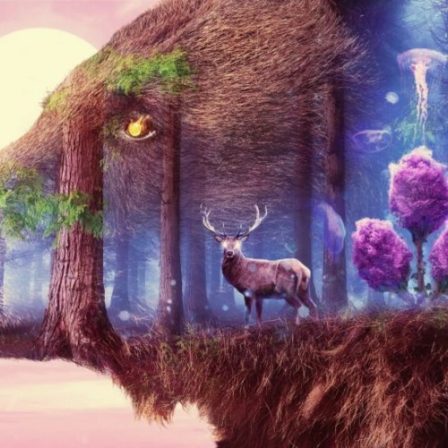 ソラクスティクソラル rock background music 🏆🏆🏆FREE DOWNLOAD🏆🏆🏆