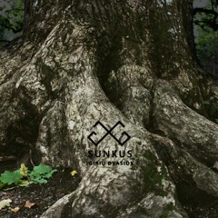 Giriu Dvasios - Namai