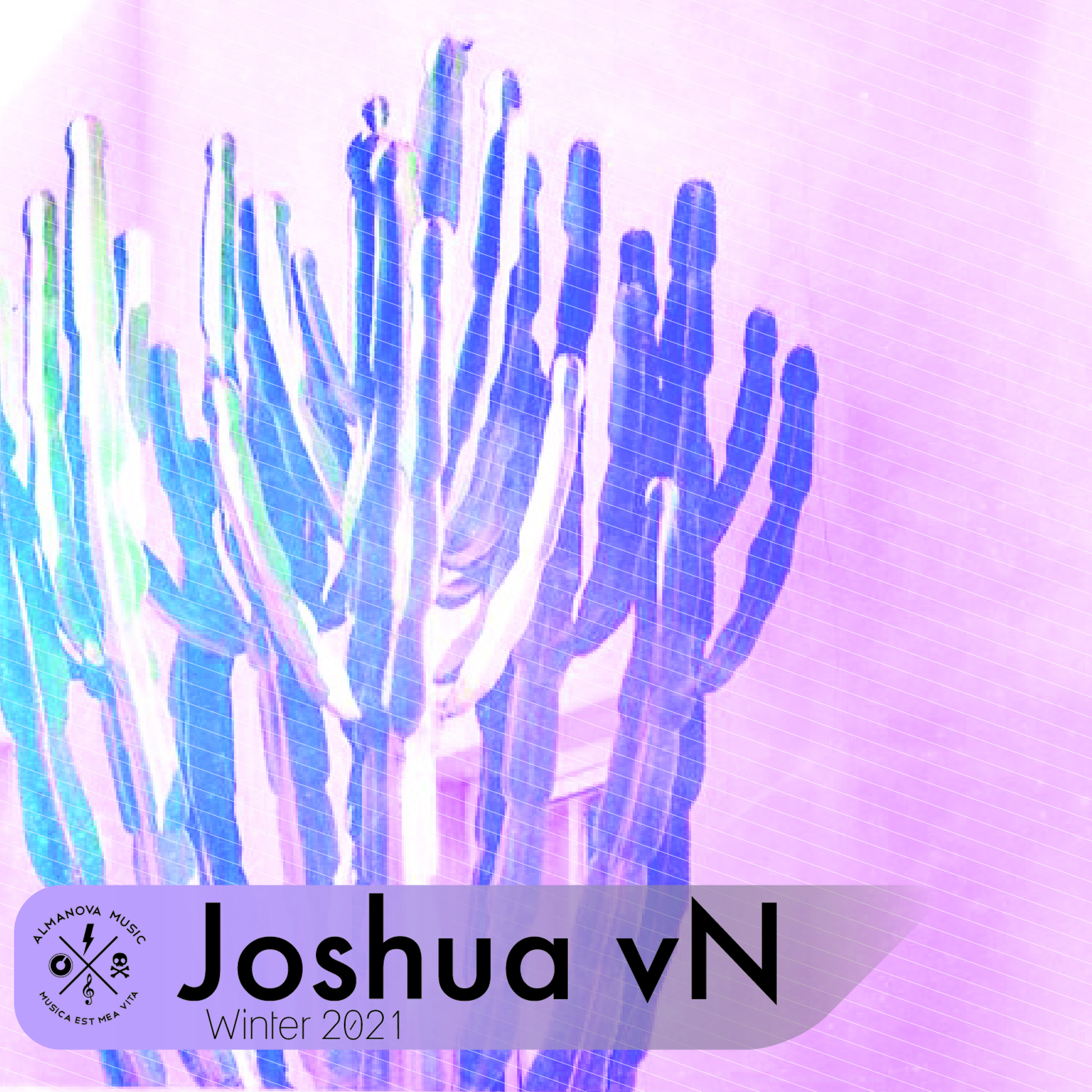 Joshua_vN