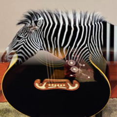 Zebra Guitar