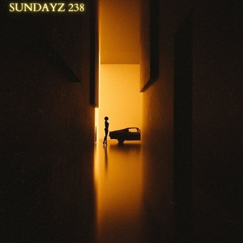 Sundayz 238