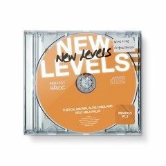New Levels (feat. Mila Falls) (RobbieG Remix)