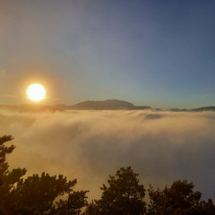 Bookers Experiment (Periphery - Catch Fire Remix)