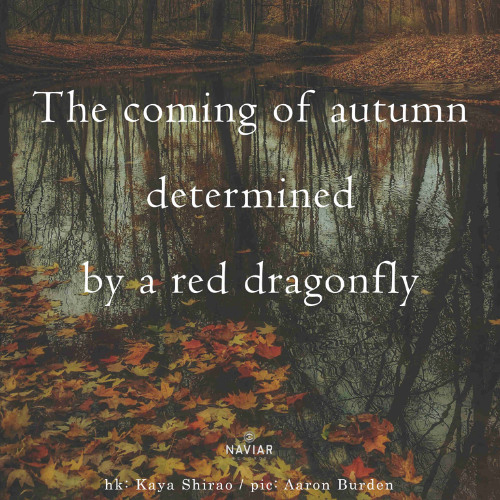 SONG 121 - NaviarHaiku614 - The Coming of Autumn