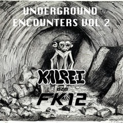 UNDERGROUND ENCOUNTERS VOL 2 - KALREI B2B FK12 [12 FLORA EDITION]