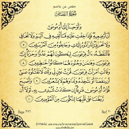 كل يوم آية - الجزء 20. - محمد الغليظ