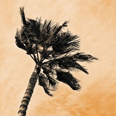Breezy