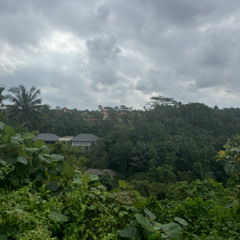 Hurtling Through The Javanese Jungle in an Antiquainted Bus