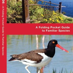 ⚡Ebook✔ Rhode Island Birds: A Folding Pocket Guide to Familiar Species (Wildlife