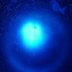 Muon 65 (choirs electrique)