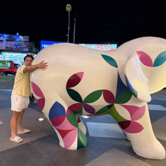 Spring Tech House Mix 25'