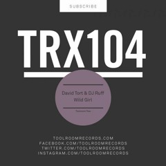 David - Tort- -DJ - Ruff - Wild - Girl- Erick - Gaudino - Bootleg
