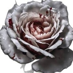 ROTTENTHESEROSES