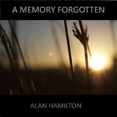 A Memory Forgotten