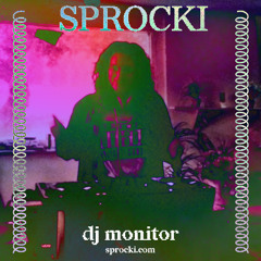 dj monitor @ sprocki festival 2025