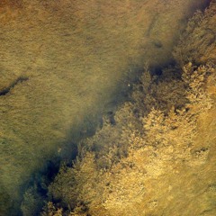 SACRED POOLS W/ Funn Bobby 190924