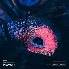 Meezzz - Never