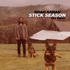 Noah Kahan - Stick Season (BKV Remix)