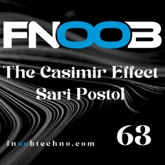 The Casimir Effect #63 | Sari Postol