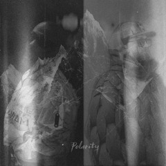 Polarity (feat. DRS, Dub Phizix & Mindstate)