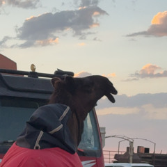 ‎⁨بن مركوز⁩.mp3