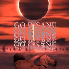 go insane - amyri prod. Hayden's Trinkets