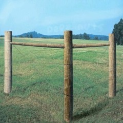 Drawn Closer To The Light I Look