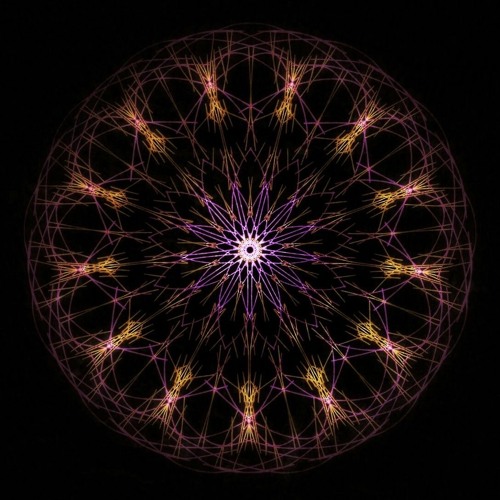 mushroom   prod.sexxysoulja