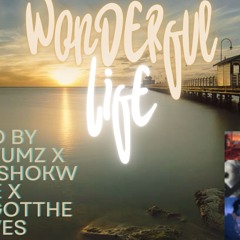 [FREE] "Wonderful Life" Vocal Guitar Pop Type Beat 2025 - Prod By @IzDatuMz X @Prod_Shokwave X @Seph