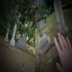 Fdsgtry 436 Gtrtwy