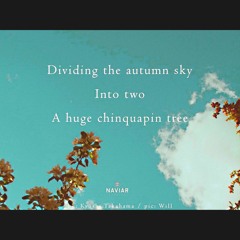 Tree of two skies [naviarhaiku489]