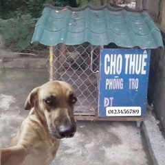Kỷ Niệm Giam Cầm Chúng Ta - Thanh Hưng. ( Huy PT Remix ) Demo. Nhạc Remix 2025 ( Chuẩn Tiktok )