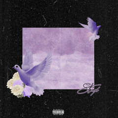 Purple Dove