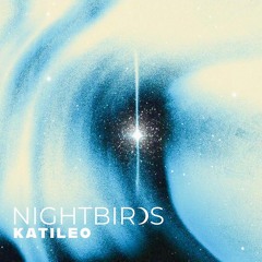 Nightbirds 36