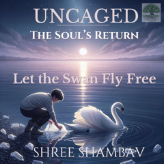 A8 - 03 - Let the Swan Fly Free