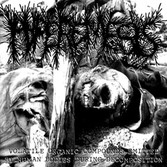 Hyperemesis/Captain Three Leg Split (HYPEREMESIS SIDE)