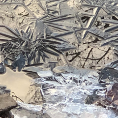 latpatta kalaiwallah