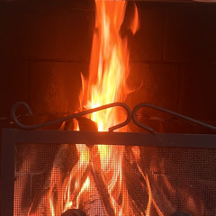 WITH YOU demo Pondro