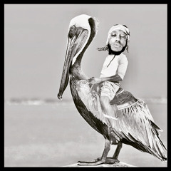 Pelican’s Back