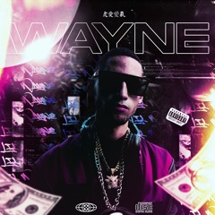 Kanye West vs A$AP Rocky - Gold Digger vs Bass (Wayne VIP Edit)