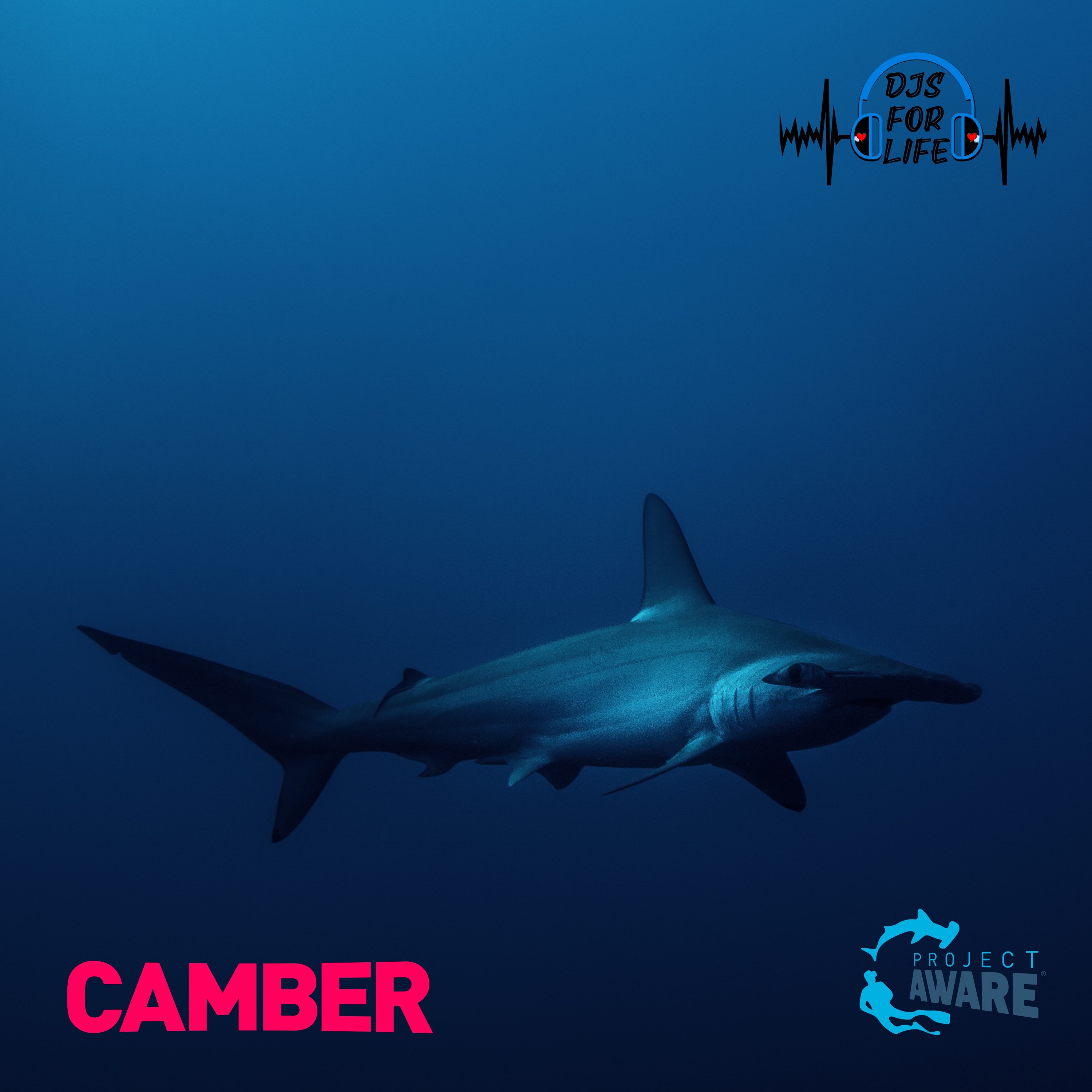 CAMBER