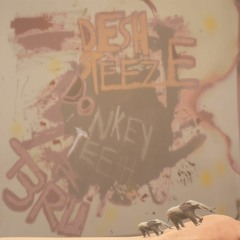 Donkey Teeth