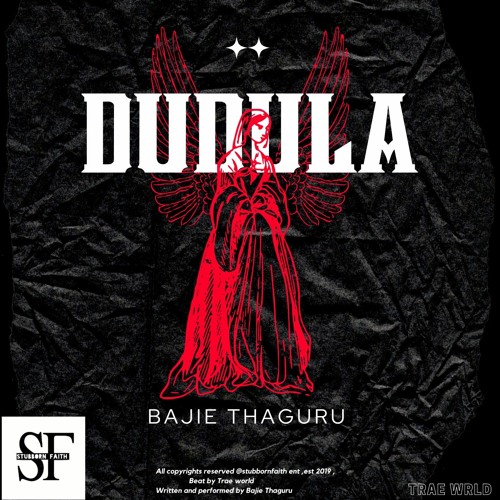 Dudula