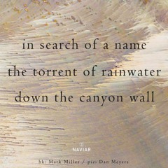 In search of a name [naviarhaiku505]