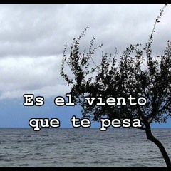es el viento cover nino bravo