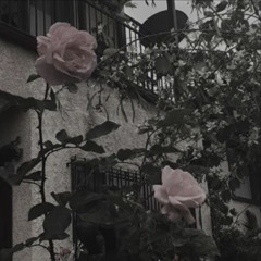 ꜱᴏᴍᴇᴛɪᴍᴇꜱ, ᴀʟʟ Ɪ ᴛʜɪɴᴋ ᴀʙᴏᴜᴛ Ɪꜱ ʏᴏᴜ...