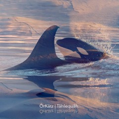 OrKatz | Tåhlequåh. | Cozy Winter Mixtape |